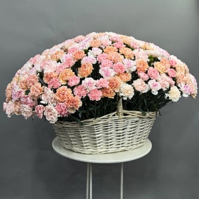 Композиция в корзине из 251 диантуса микс в Серпухове