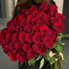 Букет 51 роза Эквадор Эксплорер (60 см) в Серпухове