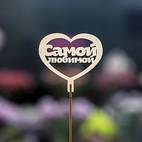 Топпер Самой Любимой в Серпухове