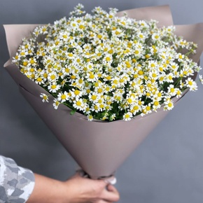 Букет из 17 ромашек танацетум в Серпухове