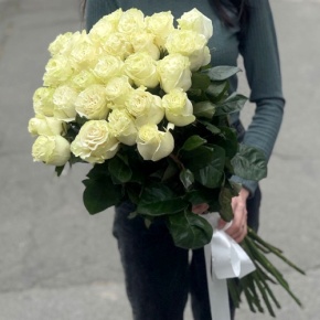 Монобукет из 25 роз Эквадор Мондиаль (80 см) в Серпухове