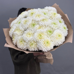 Букет из 27 хризантем Магнум в Серпухове