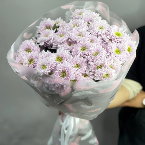 Букет "Нежный комплимент" из 9 кустовых хризантем в Серпухове