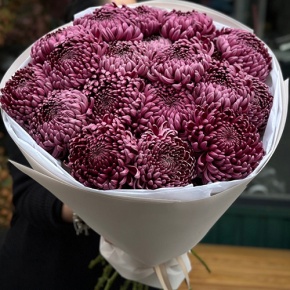 Букет 21 винной хризантемы Бигоуди в Серпухове