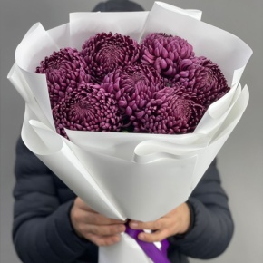 Букет "Винная легенда" из 7 хризантем Бигоуди в Серпухове