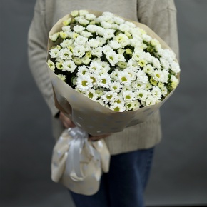 Букет "Милая моя" из 17 хризантем сантини в Серпухове