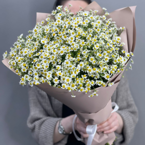 Букет из 17 полевых ромашек в Серпухове