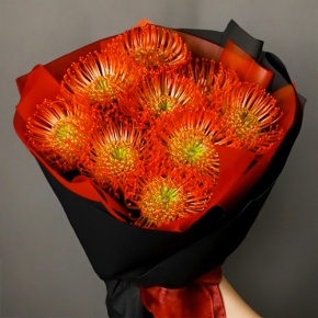 Букет из 9 лейко в Серпухове