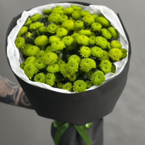 Стильный букет "Лайм" из 15 хризантем сантини в Серпухове