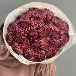 Букет 21 шоколадной хризантемы Бигоуди в Серпухове