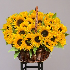 Композиция в корзине из 51 подсолнуха в Серпухове