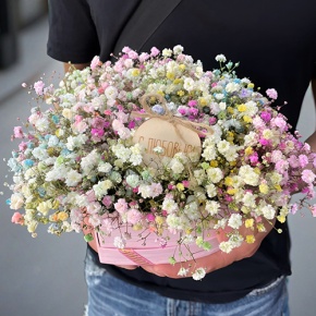 Композиция в коробке сердца из радужных гипсофил с топпером в Серпухове