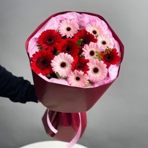 Букет "Румянец" из гербер микс в Серпухове