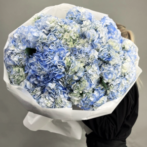 Букет из 23 синих гортензий в Серпухове