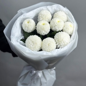 Букет из 9 белых хризантем Момоко в Серпухове