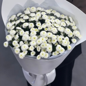 Букет "Белая дымка" из 25 хризантем сантини в Серпухове
