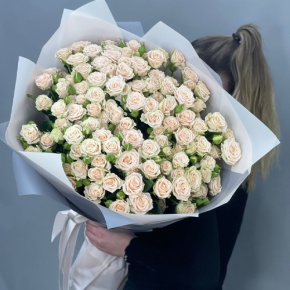 Букет из 25 кремовых кустовых роз (70 см) в Серпухове
