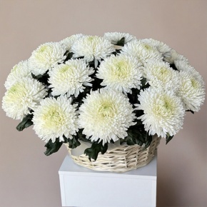 Композиция в корзине из 25 хризантем Магнум в Серпухове