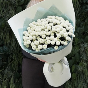 Букет из 25 хризантем Ньютон в Серпухове