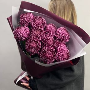 Букет "Изобилие" из 11 винных хризантем Бигоуди в Серпухове