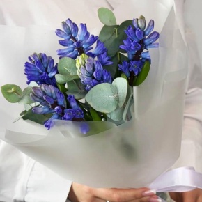 Букет "Мини" из 5 ароматных гиацинтов и эвкалипта в Серпухове