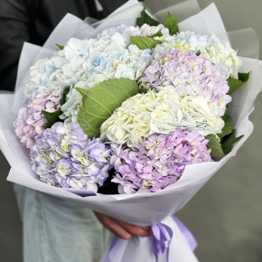 Букет из 9 Голландских гортензий микс в Серпухове