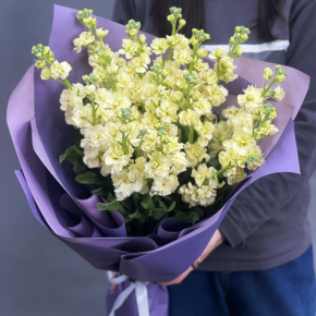 Букет из 15 лимонных маттиол в Серпухове