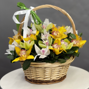 Композиция в корзине из 25 орхидей микс в Серпухове