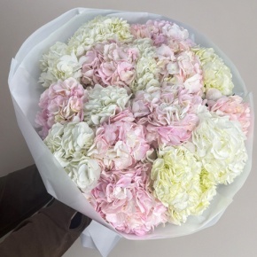Букет из 17 нежных гортензий в Серпухове