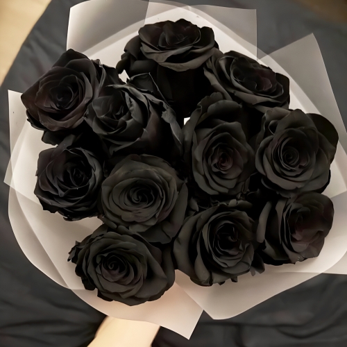 Букет "Черная королева" из 11 черных роз Эквадор (60 см) в Серпухове