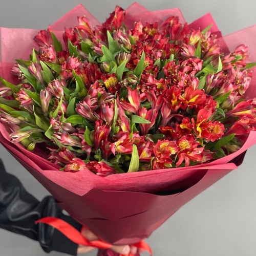 Монобукет из 25 красных альстромерий в Серпухове