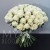 Букет 75 белых роз Эквадор Мондиаль (80 см) в Серпухове Букет 75 белых роз Эквадор Мондиаль (80 см) в Серпухове