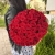 Букет 51 красной розы 50 см в Серпухове Букет 51 красной розы 50 см в Серпухове