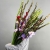 Букет из 25 гладиолусов микс в Серпухове