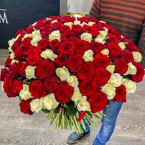 Букет 151 роза красный и белый микс (60 см) в Серпухове