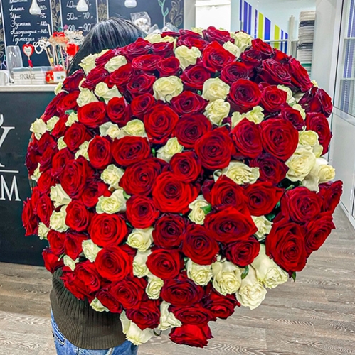 Букет 151 роза красный и белый микс (60 см) в Серпухове