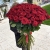 Букет из 101 красной розы (90 см) в Серпухове Букет из 101 красной розы (90 см) в Серпухове