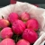 Букет из 9 пионов Коралл Шарм в Серпухове Букет из 9 пионов Коралл Шарм в Серпухове