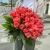 Букет 51 роза коралл (60 см) в Серпухове Букет 51 роза коралл (60 см) в Серпухове