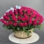 Композиция в корзине из 151 малиновой розы в Серпухове Композиция в корзине из 151 малиновой розы в Серпухове