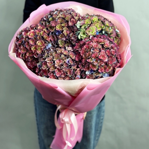 Букет из 5 космических Голландских гортензий в Серпухове