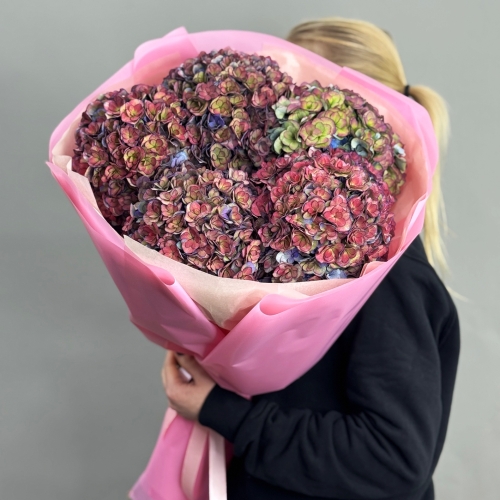 Букет из 5 космических Голландских гортензий в Серпухове